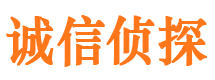 西昌捉小三公司